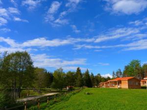 een veld van groen gras met een huis op de achtergrond bij Les Chalets du Haut-Forez in Usson-en-Forez