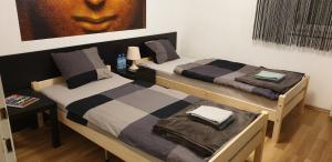 Postel nebo postele na pokoji v ubytování Green Apartman Salgótarján
