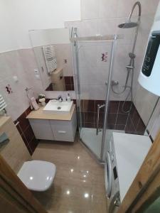 a bathroom with a shower and a toilet and a sink at Apartament Słowackiego in Karpacz
