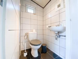 a bathroom with a toilet and a sink at Smaakvol Vakantiehuis Serooskerke SE06 in Serooskerke +22 photos