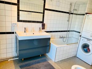 a bathroom with a sink and a washing machine at Rembrandt Square Boat in Amsterdam