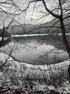 Fotografie z fotogalerie ubytování Apartment Nikitovic v destinaci Žabljak