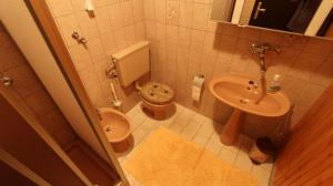 Un baño pequeño con inodoro y lavabo. en Apartment Prosinečki, en Malinska 49 fotos más