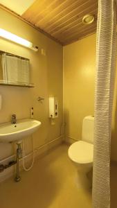 a bathroom with a white toilet and a sink at Riihivuori Cottages in Muurame