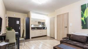 Kuchnia lub aneks kuchenny w obiekcie Apartamenty Izerskie - ul. Cicha 13H-I