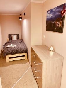 Posteľ alebo postele v izbe v ubytovaní Apartamenty W Brzozowym Gaju
