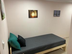 Posteľ alebo postele v izbe v ubytovaní Apartamenty W Brzozowym Gaju