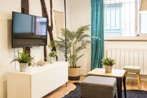 TV a/nebo společenská místnost v ubytování Le Montoulieu - proche Place des Carmes