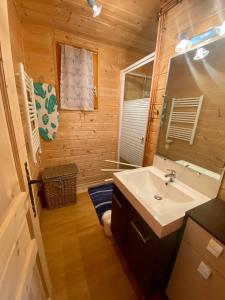 a bathroom with a sink and a mirror at Chalet des Moineaux in Saint-Laurent-en-Grandvaux