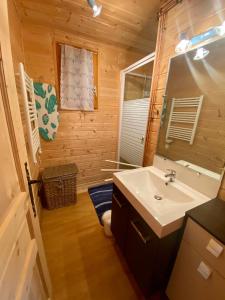 y baño con lavabo y espejo. en Chalet des Moineaux, en Saint-Laurent-du-Jura