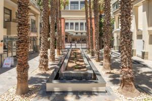 una fila de palmeras frente a un edificio en The Square Holiday Apartments en Ciudad del Cabo