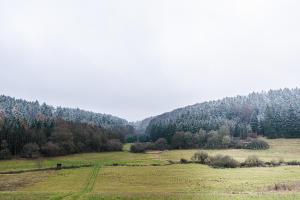 Příroda nedaleko kempu + 13 fotografií