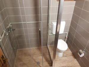 a bathroom with a toilet and a glass shower stall at Apartman Trebević Dolina mira in Pale +4 photos