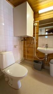 a bathroom with a white toilet and a sink at Riihivuori Cottages in Muurame