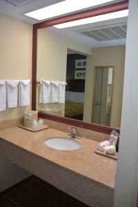 a bathroom counter with a sink and a mirror at Quality Inn & Suites Dublin in Dublin