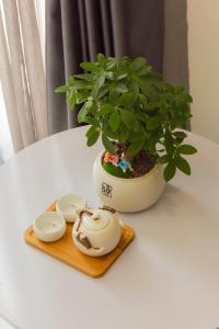 uma planta em vasos sentada numa mesa ao lado de um prato em Hera Hotel Airport em Cidade de Ho Chi Minh