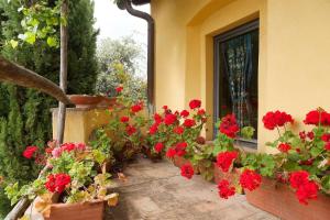 Zahrada ubytování Poderi in Chianti
