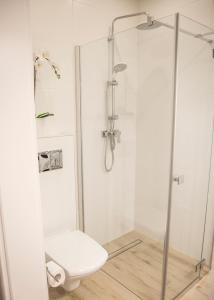 een badkamer met een glazen douche en een toilet bij Apartament Royal Place I Jurowiecka 17 in Białystok