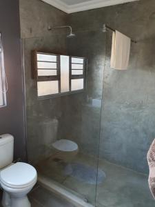 a bathroom with a toilet and a glass shower at Volgenoeg Self Catering in Oudtshoorn