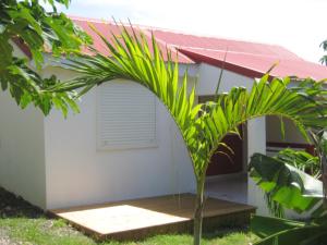 ein Haus mit einer Palme davor in der Unterkunft Maison de 2 chambres avec terrasse amenagee et wifi a Saint Francois a 5 km de la plage in Saint-François