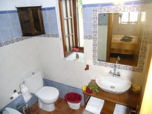 Un baño con inodoro, lavabo y espejo. en Cosy Apartment in San Cristóbal de La Laguna, 32 m², Pool., en La Laguna 18 fotos más