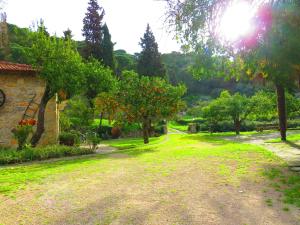 un jardín con árboles y un edificio de piedra en 2 bedrooms house with lake view shared pool and furnished garden at Porto de Mos, en Porto de Mós