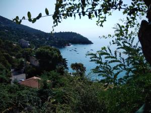 キャヴァレール・シュル・メールにあるAppartement d'une chambre a Cavalaire sur Mer a 50 m de la plage avec terrasse amenageeのギャラリーの写真