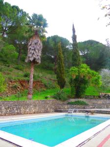 Πισίνα στο ή κοντά στο 2 bedrooms house with lake view shared pool and furnished garden at Porto de Mos