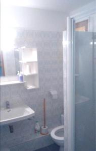 ein Bad mit einer Dusche, einem Waschbecken und einem WC in der Unterkunft Studio a Bormes les Mimosas a 400 m de la plage avec jardin clos et wifi in Bormes-les-Mimosas