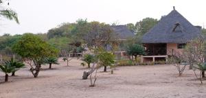 a house in the middle of a field with trees at Cozy house with sea view in Boukot Ouolof