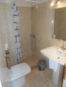 a bathroom with a shower and a toilet and a sink at Ulrika in Egina