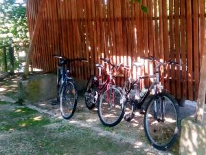 three bikes are parked next to a fence at 2 bedrooms villa with lake view private pool and enclosed garden at Lousada in Lousada