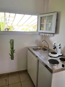 Köök või kööginurk majutusasutuses Appartement moderne à Le Lamentin avec piscine partagée - 20m²