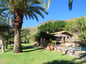 a villa with a palm tree and a swimming pool at Cozy villa in San Bartolomé, 130 m², pool in San Bartolomé de Tirajana