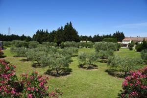Galeriebild der Unterkunft Appartement charmant, Monteux, 70 m², Piscine Partagée in Monteux + 7 Fotos