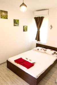 Tempat tidur dalam kamar di Studio at Constanta 500 m away from the beach with enclosed garden and wifi