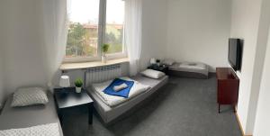 a small room with a bed and a window at Hostel Czecha in Warsaw