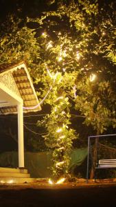 Gambar di galeri bagi Wayanad Days di Mananthavady