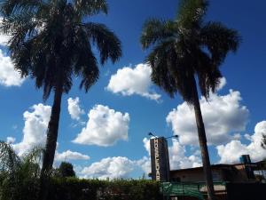 dos palmeras y un edificio con nubes en el cielo en Hospedar en Puerto Rico