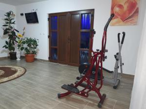 Fitness centrum a/nebo fitness zařízení v ubytování Pensiunea Ronicson