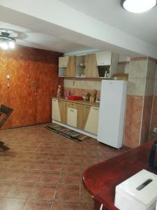 uma cozinha com um frigorífico e uma mesa em Rustic Rooms em Rîşnov