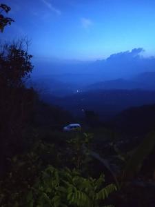 a car parked on a hill in the middle of a field at Peakaavu Cottages in Idukki