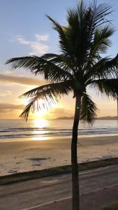 Residencial Spader - Bombinhas في بومبينهاس: نخلة على الشاطئ عند غروب الشمس