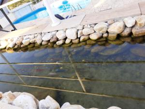 uma ponte sobre um lago com peixes em Pousada Canto dos Canários em Socorro