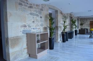 a lobby with potted plants and a stone wall at Hotel Balneario de Gravalos in Grávalos