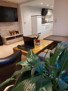 a living room with a laptop on a coffee table at Lilli Ferienwohnung in Handewitt