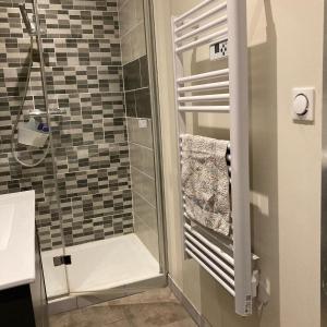 a shower with a glass door in a bathroom at Studio moderne Argeles sur mer.La plage à pieds, Espagne à 30mn in Argelès-sur-Mer