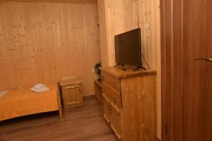 a bedroom with a television on a dresser with a bed at Aratta in Pilipets