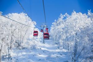 吉林的住宿－吉林北大湖假日酒店，雪中装有两辆红色汽车的滑雪缆车