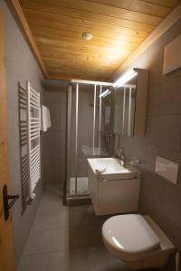 y baño con aseo, lavabo y ducha. en Hotel Bären en Gsteig